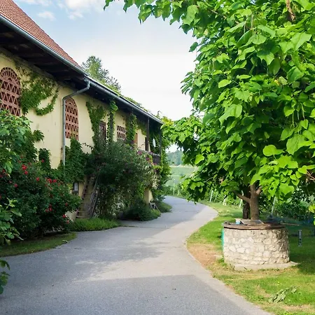 Turisticna Kmetija Vrezner Apartment Zgornja Kungota Exterior photo