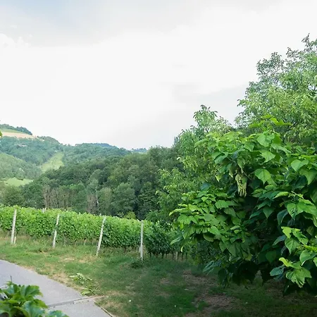 Turisticna Kmetija Vrezner Apartment Zgornja Kungota Exterior photo