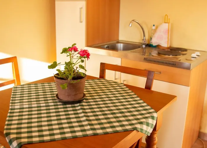 Turisticna Kmetija Vrezner Apartment