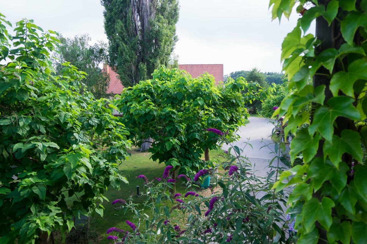 Apartment Turisticna Kmetija Vrezner Zgornja Kungota