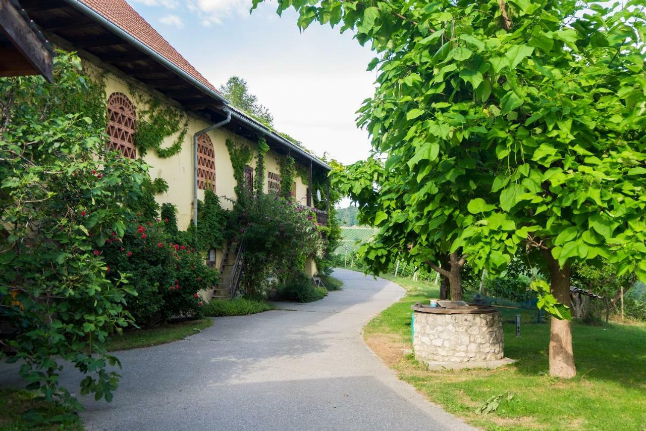 Turisticna Kmetija Vrezner Apartment