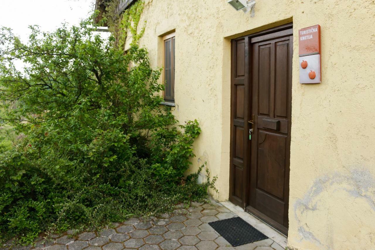 Turisticna Kmetija Vrezner Apartment *
